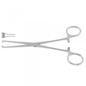 Boys-Allis Intestinal and Tissue Grasping Forceps 5 x 6 Teeth Stainless Steel, 15.5 cm - 6"